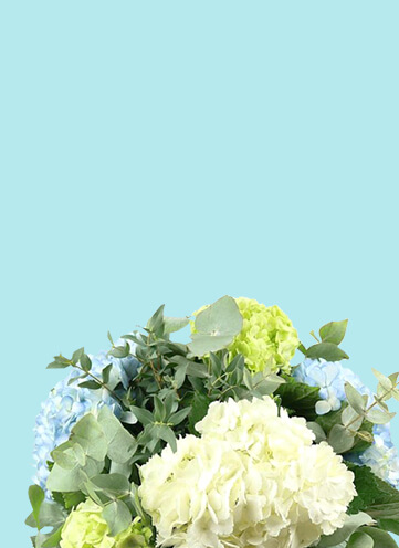 Same day Flowers Creekmouth
